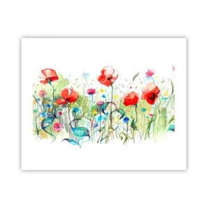 Plakat - En blomstrende eng i maj - 50x40 cm