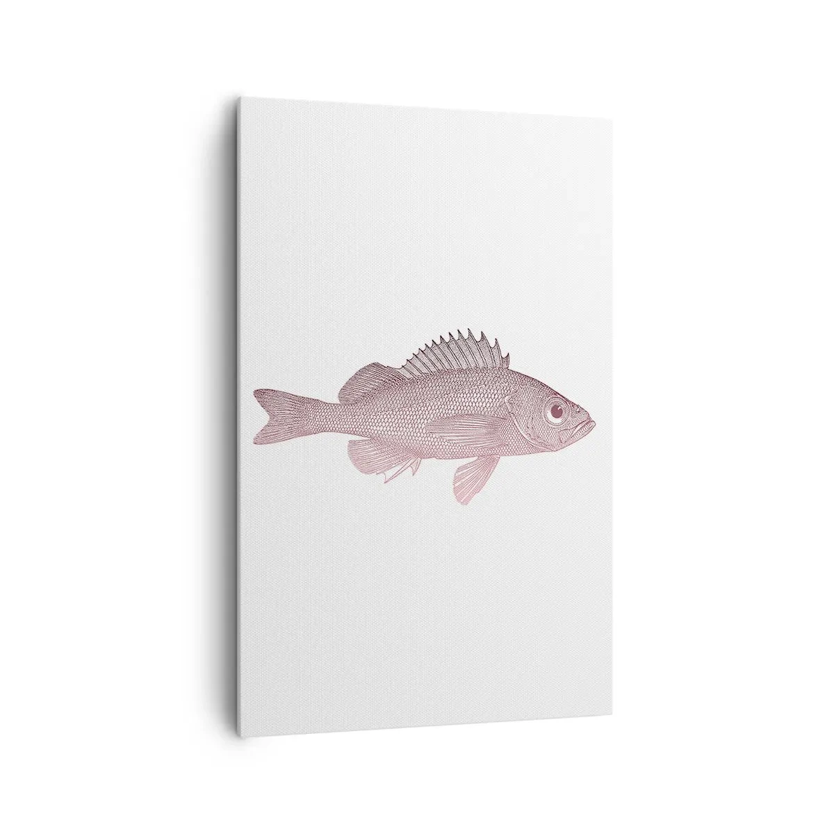 Lærredstryk - Billede på lærred - Fisk med store øjne - 80x120 cm