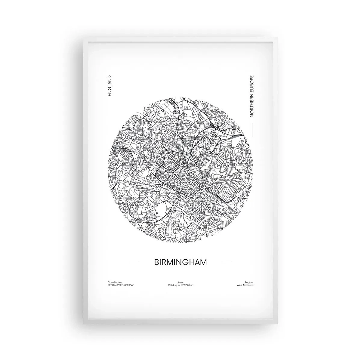 Plakat i hvid ramme - Birminghams anatomi - 61x91 cm