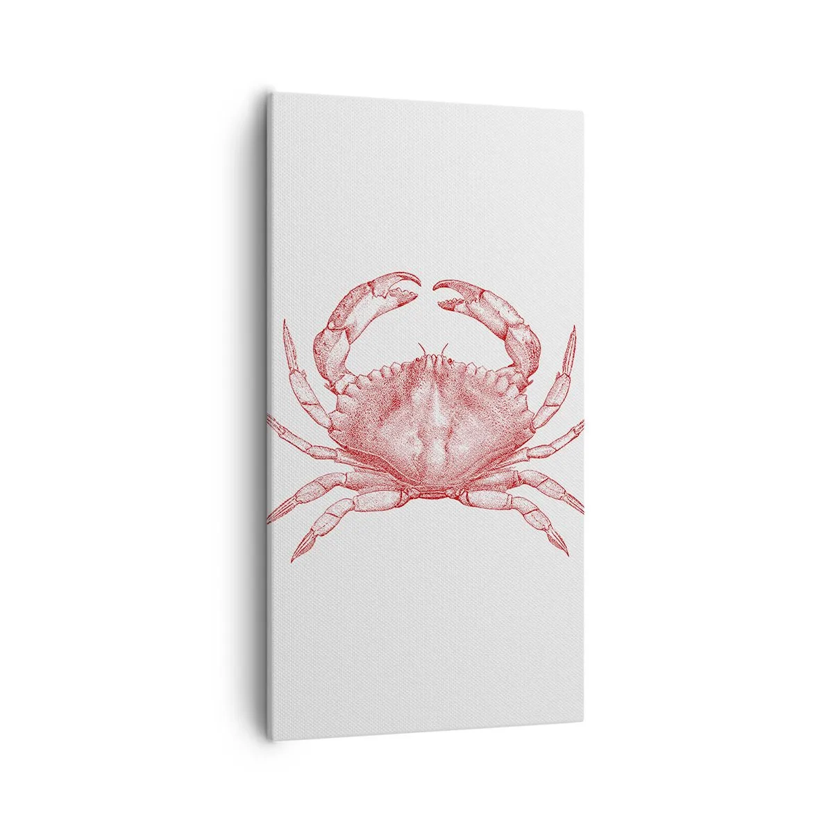 Lærredstryk - Billede på lærred - Krabbe over krabber - 55x100 cm
