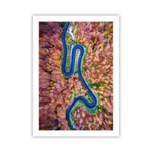 Plakat - En snoet vej gennem skoven - 50x70 cm