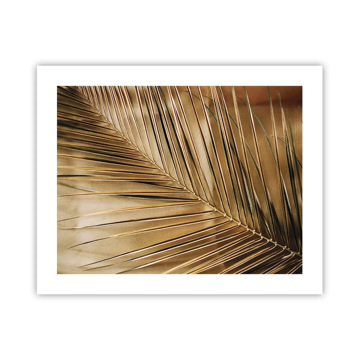 Plakat - Naturlig kolonnade - 50x40 cm