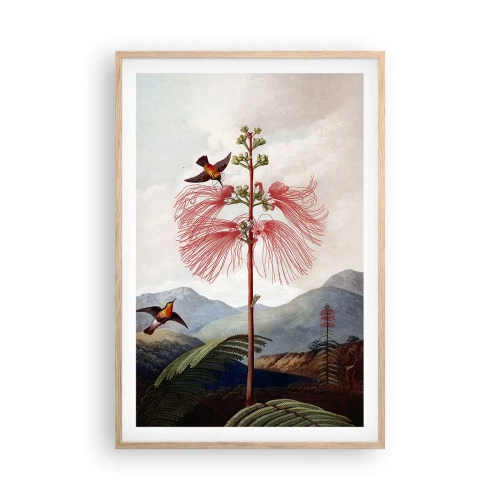 Plakat i ramme af lyst egetræ - I et tropisk paradis - 61x91 cm