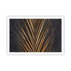 Plakat - Tropernes guld - 91x61 cm