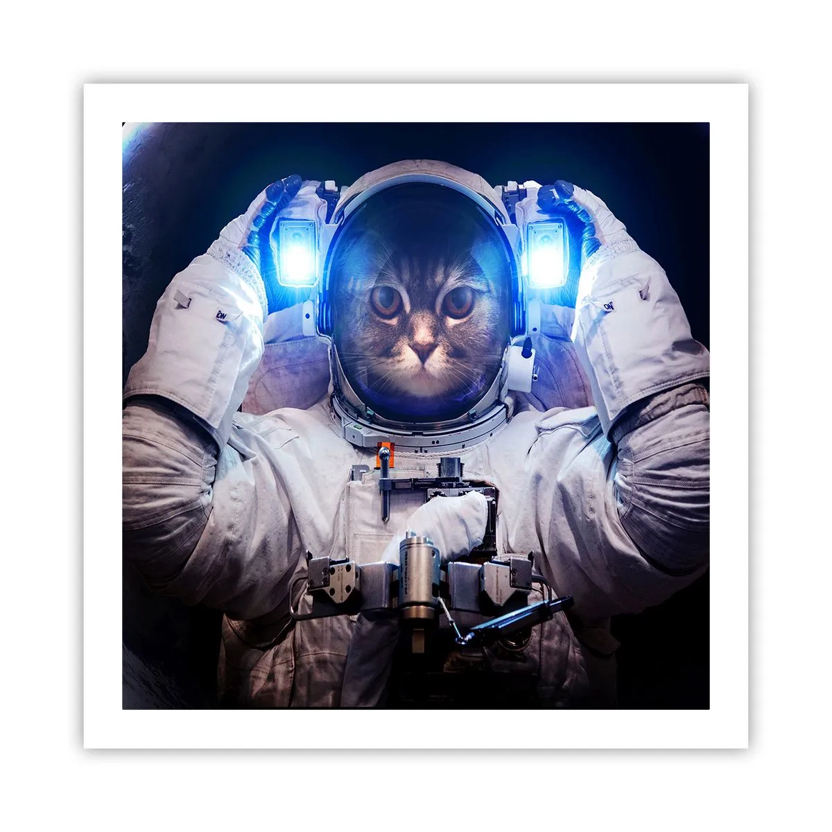 Plakat - Houston, I har et problem - 60x60 cm