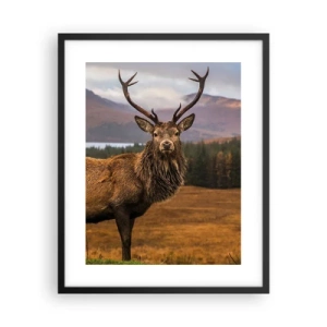 Plakat i sort ramme - Naturens majestæt - 40x50 cm