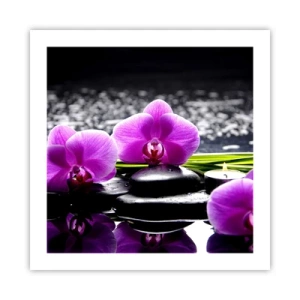 Plakat - Drukne i fred og ro - 50x50 cm