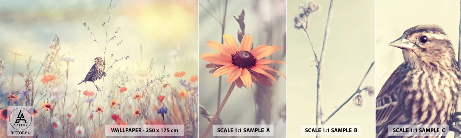 Prøve Fototapet Selvklæbende Deluxe Sticker - Fugleportræt med en eng i baggrunden - Fugl, Eng, Natur - 100x30 cm