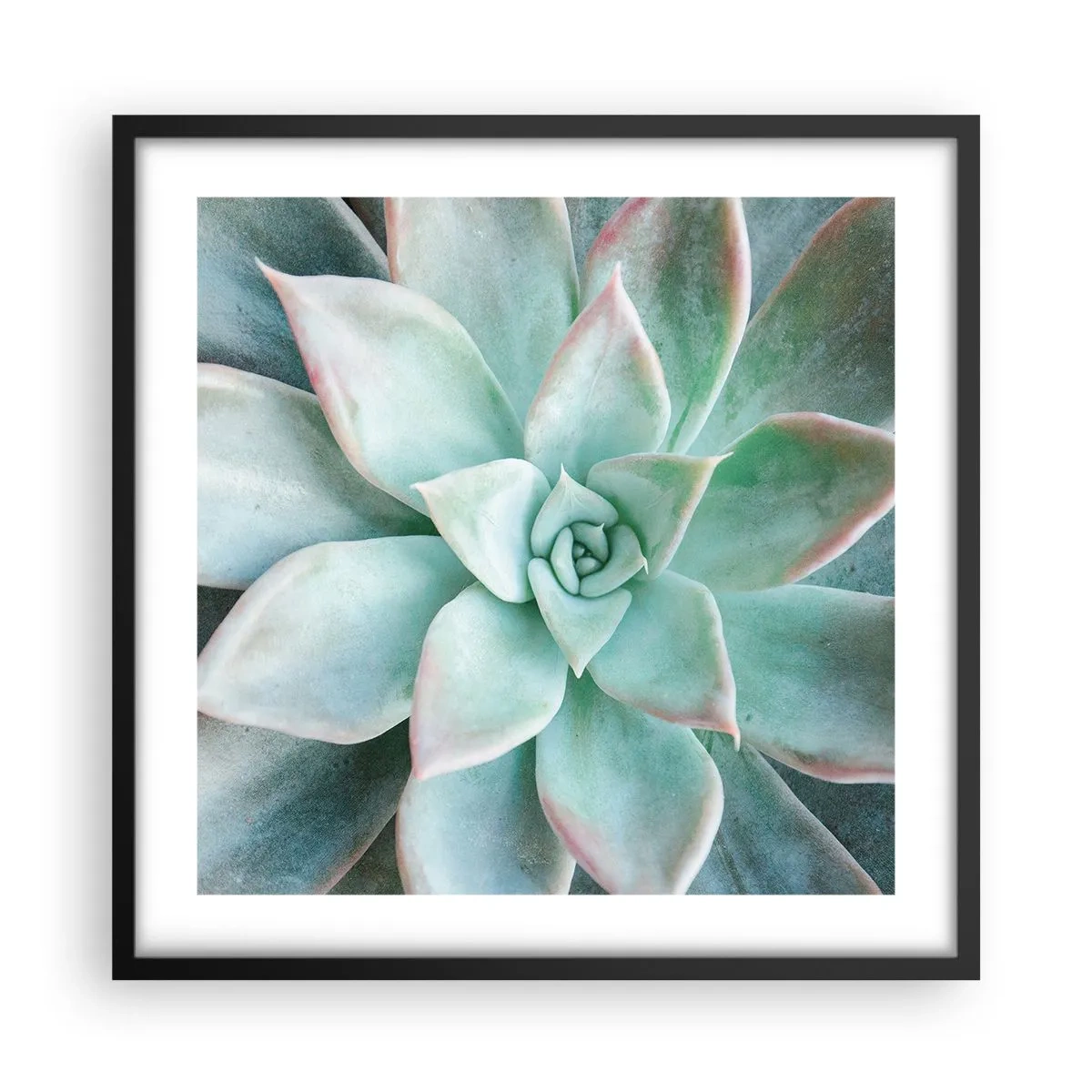Plakat i sort ramme - Hjertet af ørkenen - 50x50 cm
