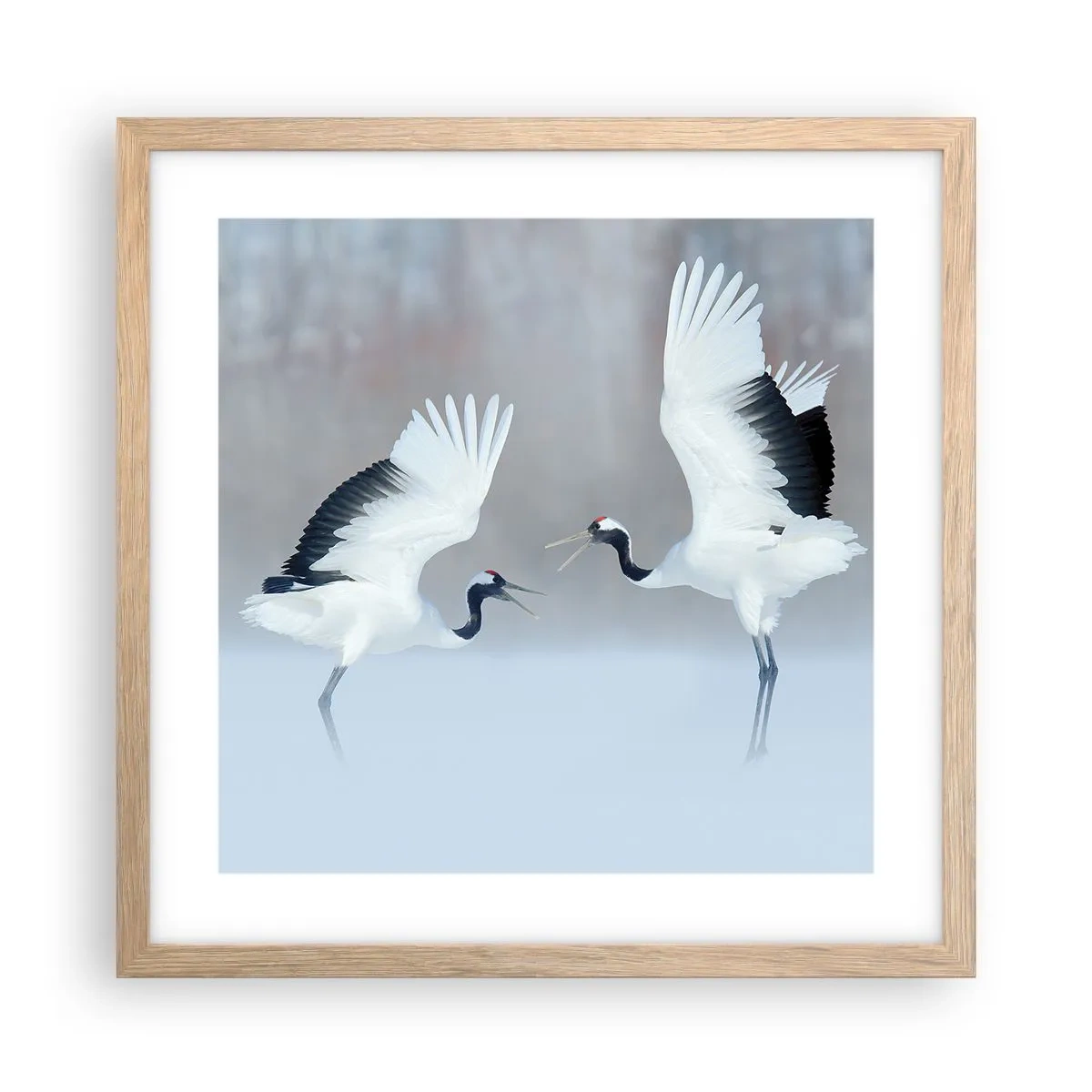 Plakat i ramme af lyst egetræ - Danser i tågen - 40x40 cm