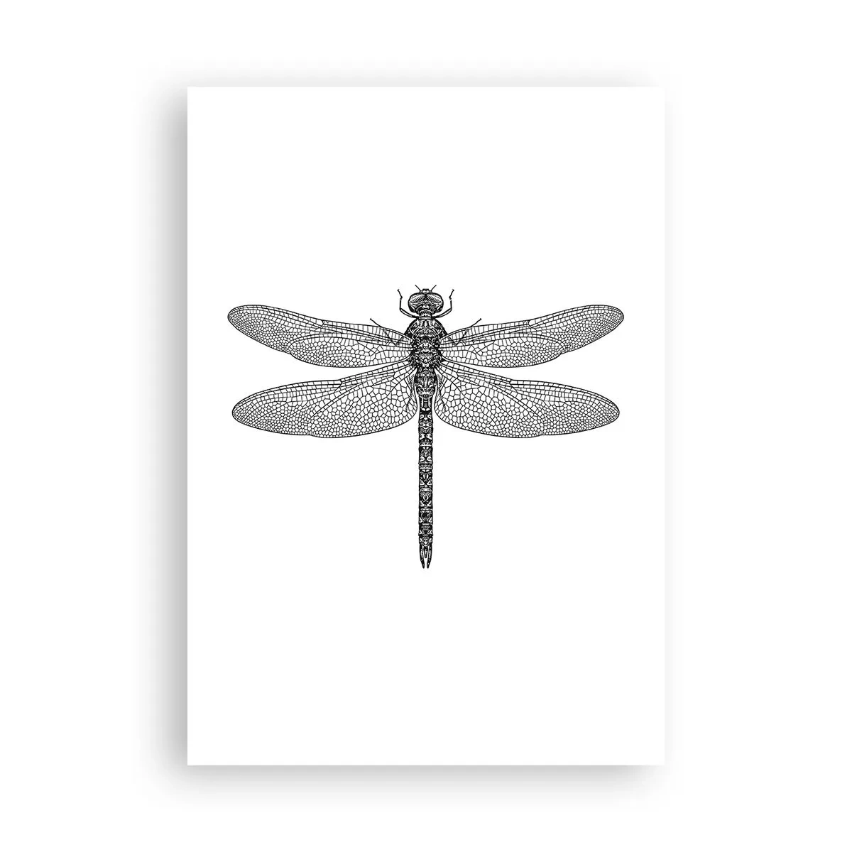 Plakat - Præcision i naturen - 70x100 cm