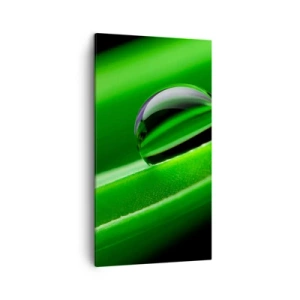 Lærredstryk - Billede på lærred - Livet på tæt hold - 45x80 cm