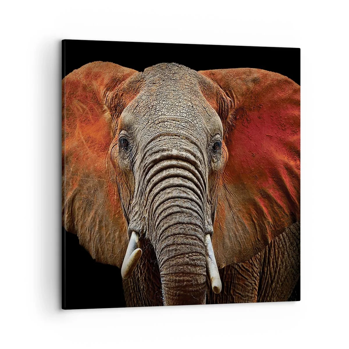 Lærredstryk - Billede på lærred - Jeg er vild, er du? - 50x50 cm