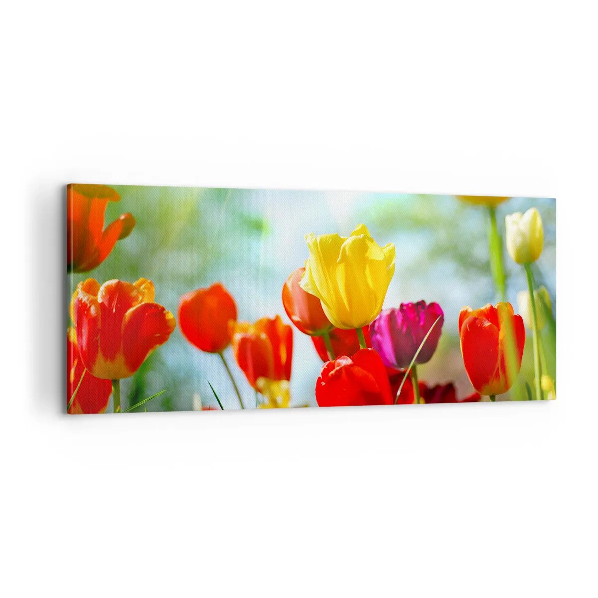 Lærredstryk - Billede på lærred - Alle solens farver - 100x40 cm