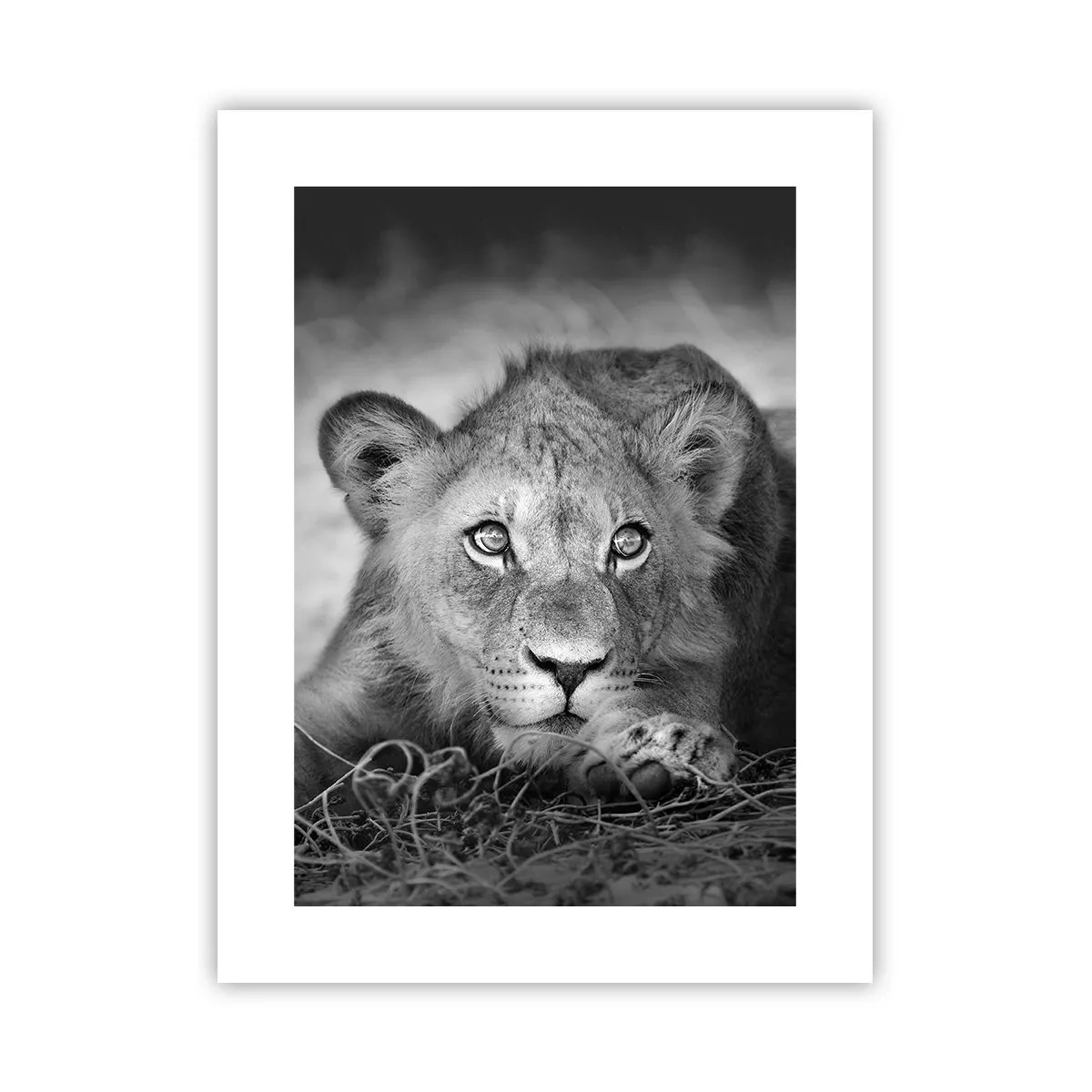 Plakat - Kongelig hvalp - 30x40 cm