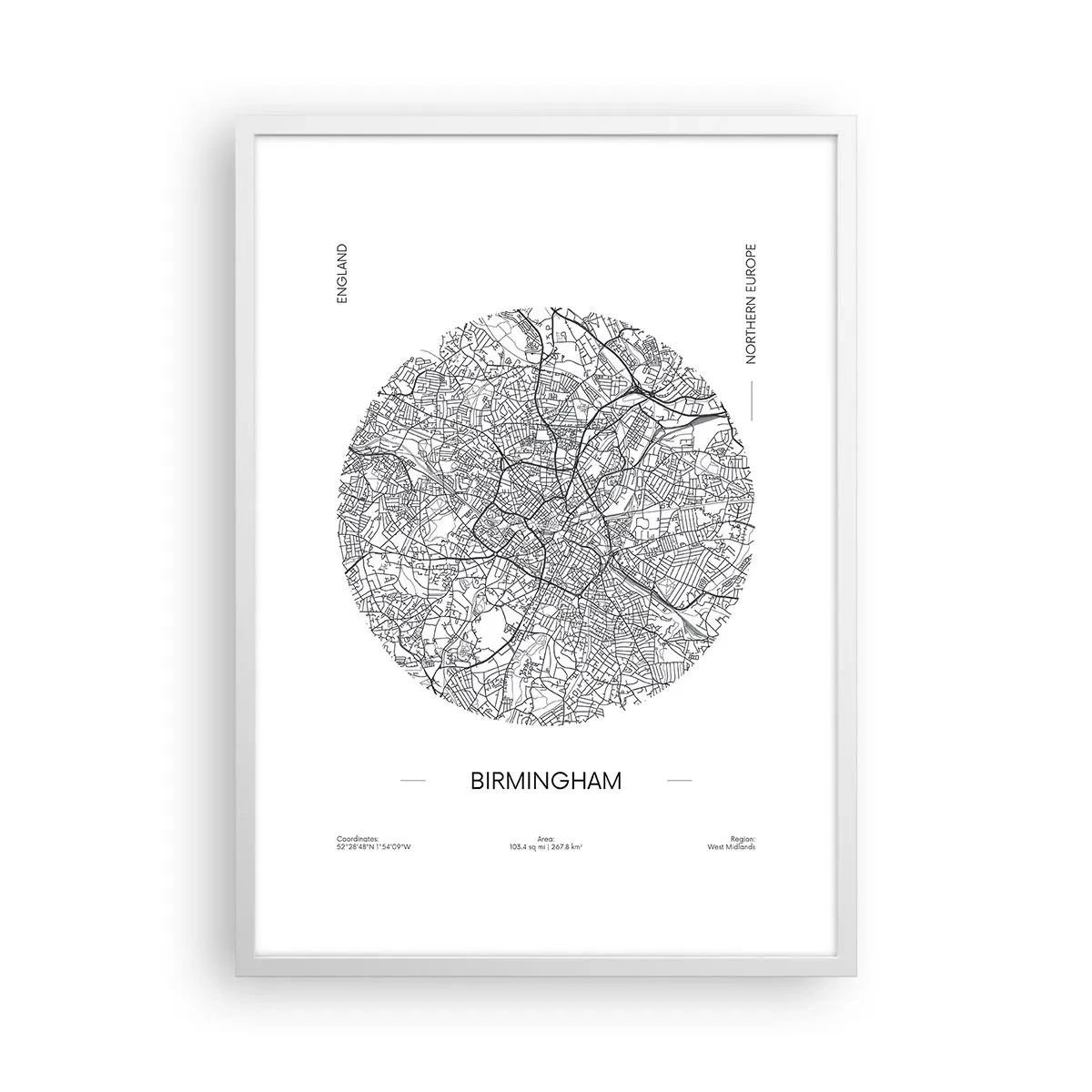 Plakat i hvid ramme - Birminghams anatomi - 50x70 cm