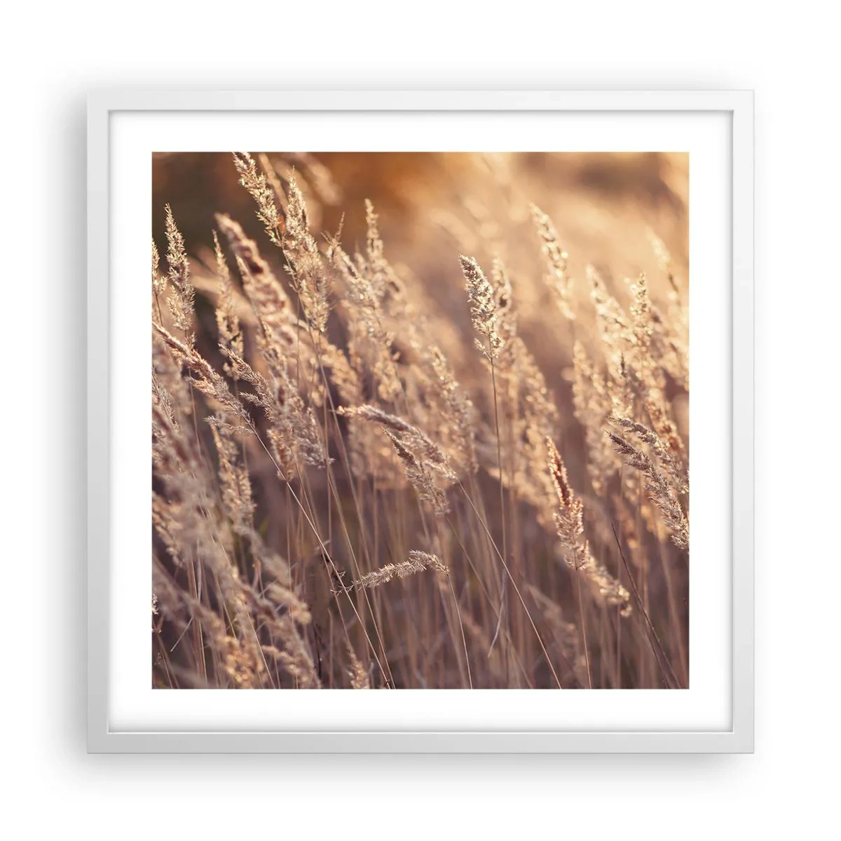 Plakat i hvid ramme - Klar til at byde efteråret velkommen - 50x50 cm