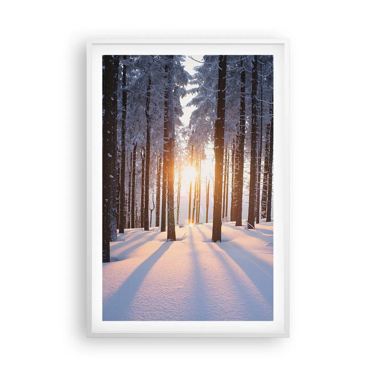 Plakat i hvid ramme - Klart i sort og hvidt - 61x91 cm