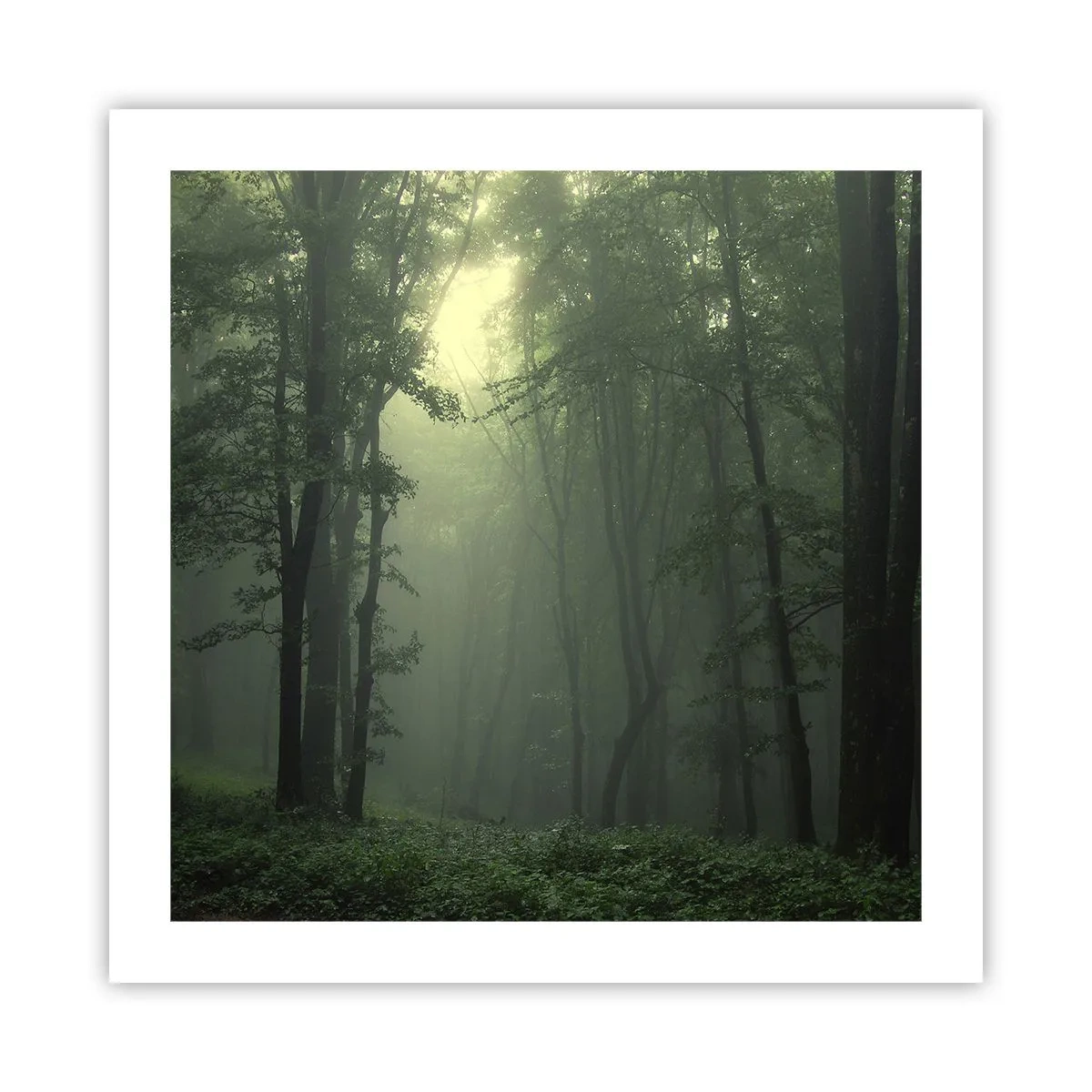 Plakat - Før han vågner op - 50x50 cm