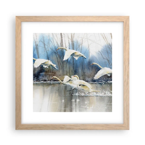 Plakat i ramme af lyst egetræ - Som i en fortælling om vilde svaner - 30x30 cm
