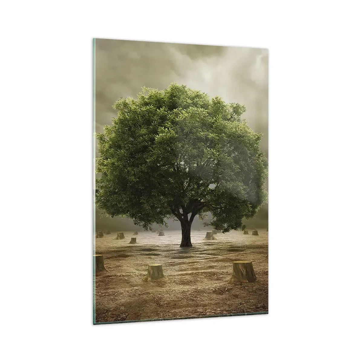 Billede på glas - Alt håb - 80x120 cm