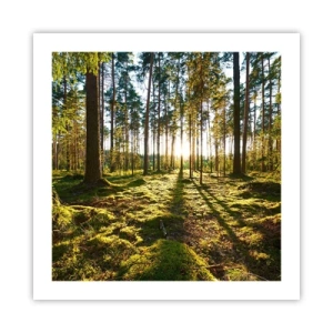 Plakat - ...Bag de syv skove - 50x50 cm