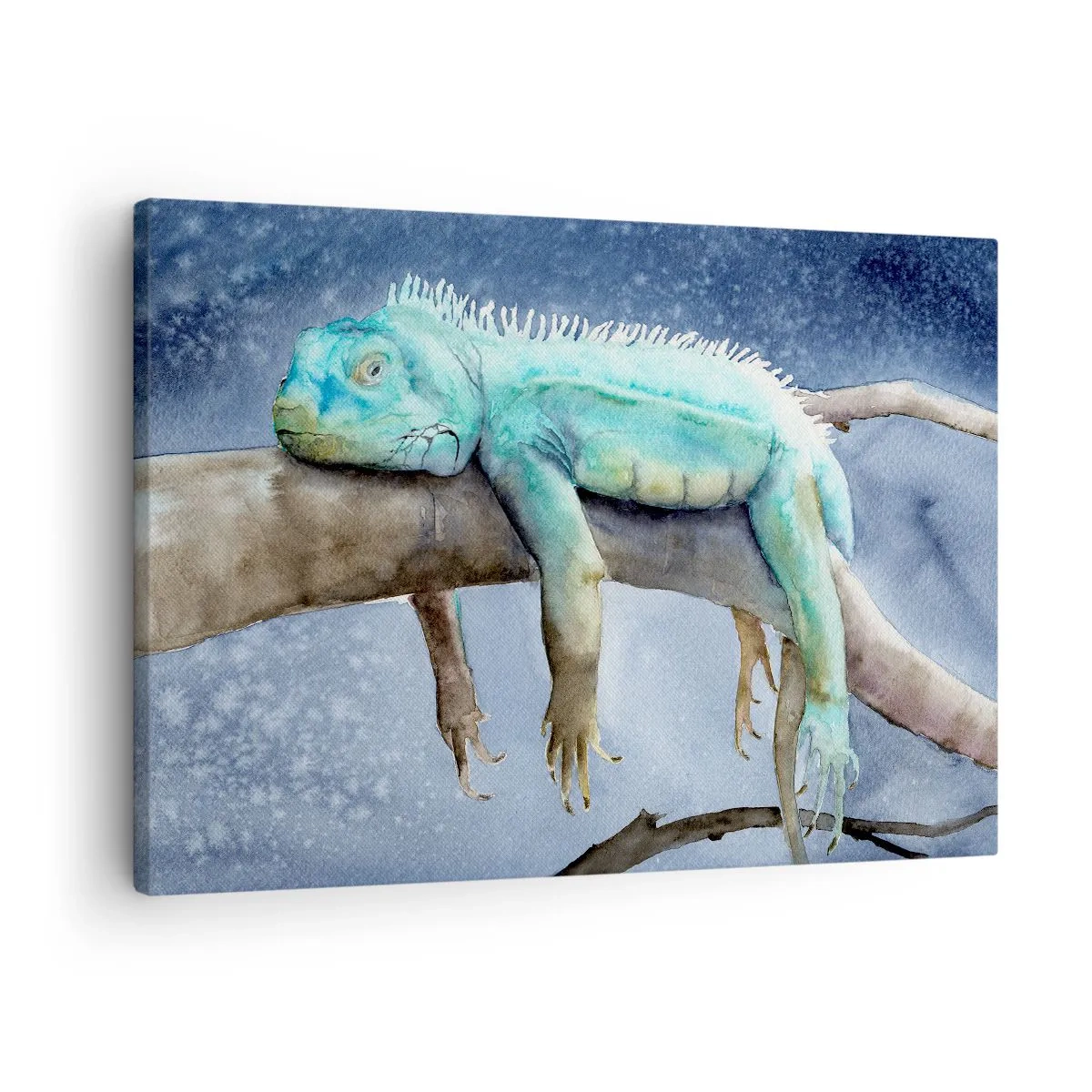 Lærredstryk - Billede på lærred - Blå leguan hviler på en gren - 70x50cm - Det er godt! - Moderne vægdekoration til stue og soveværelse ARTTOR