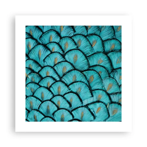 Plakat - Den store fjer-galla - 40x40 cm