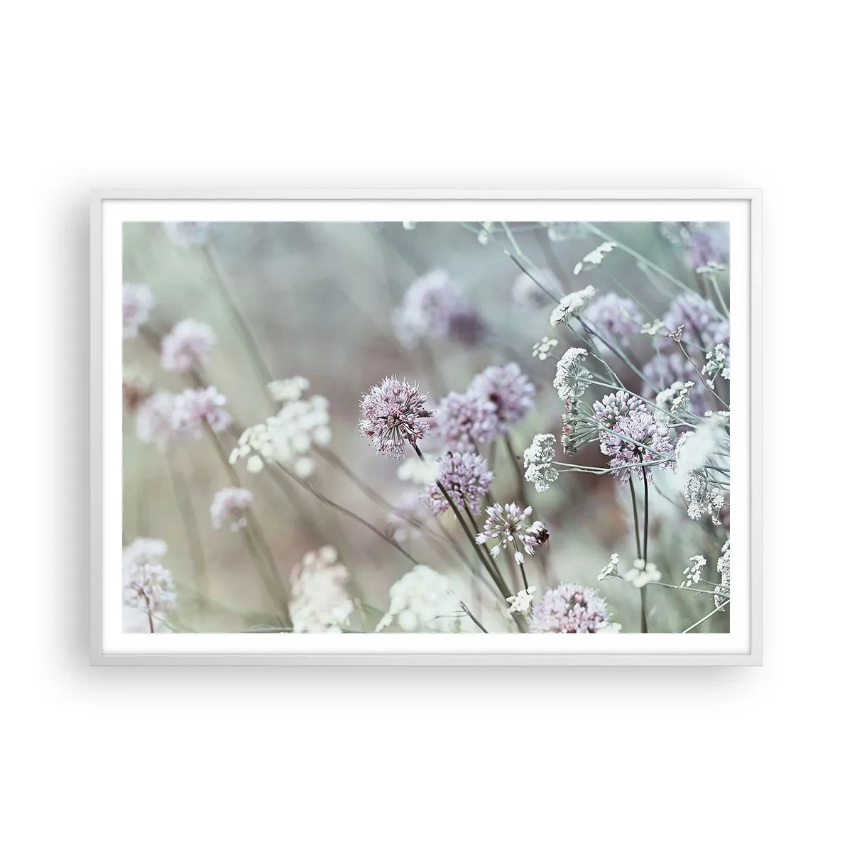 Plakat i hvid ramme - Søde filigranurter - 100x70 cm