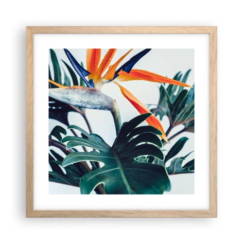 Plakat i ramme af lyst egetræ - Fuglebur - 40x40 cm