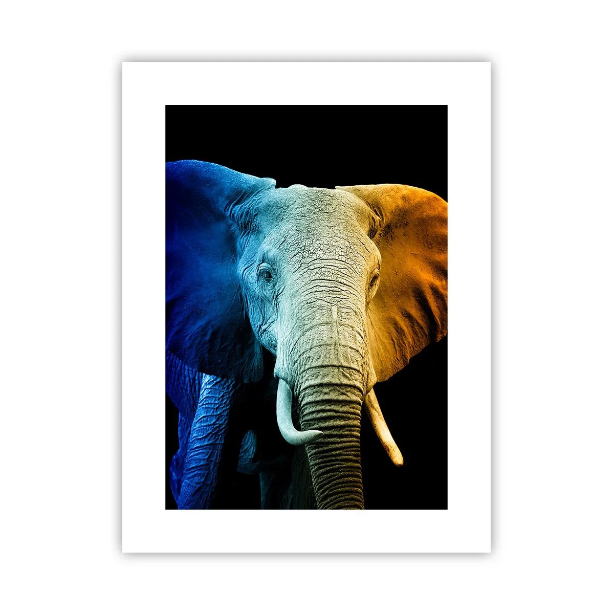 Plakat - Excentrisk, ikke underlig - 30x40 cm