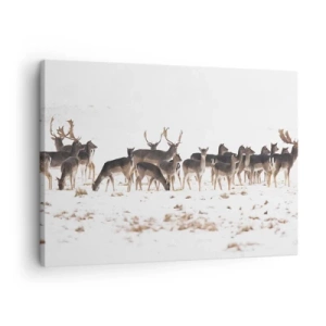 Lærredstryk - Billede på lærred - En flok hjorte mod en snedækket baggrund - 70x50cm - Er det snart jul? - Moderne vægdekoration til stue og soveværelse ARTTOR