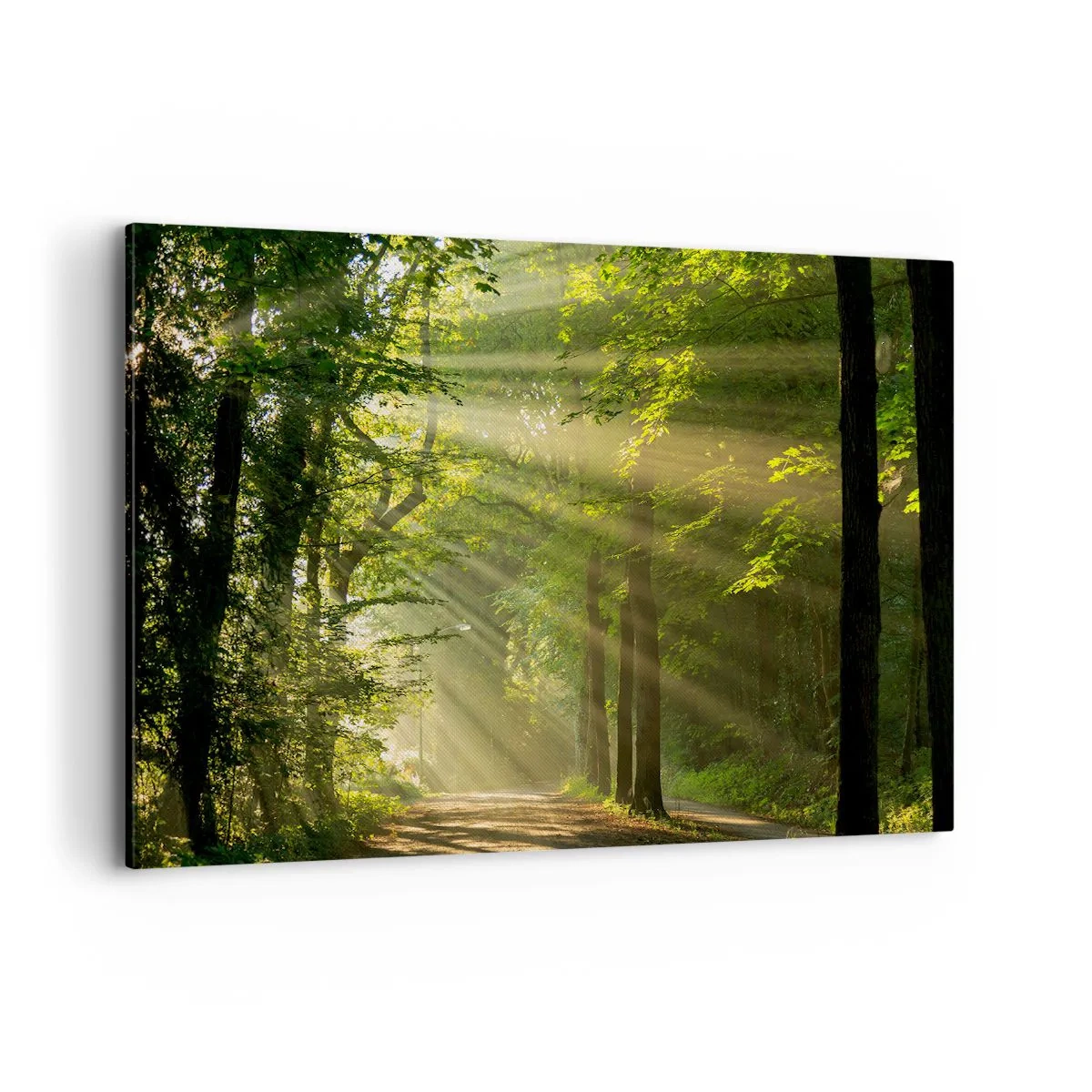 Lærredstryk - Billede på lærred - Øjeblik i skoven - 120x80 cm
