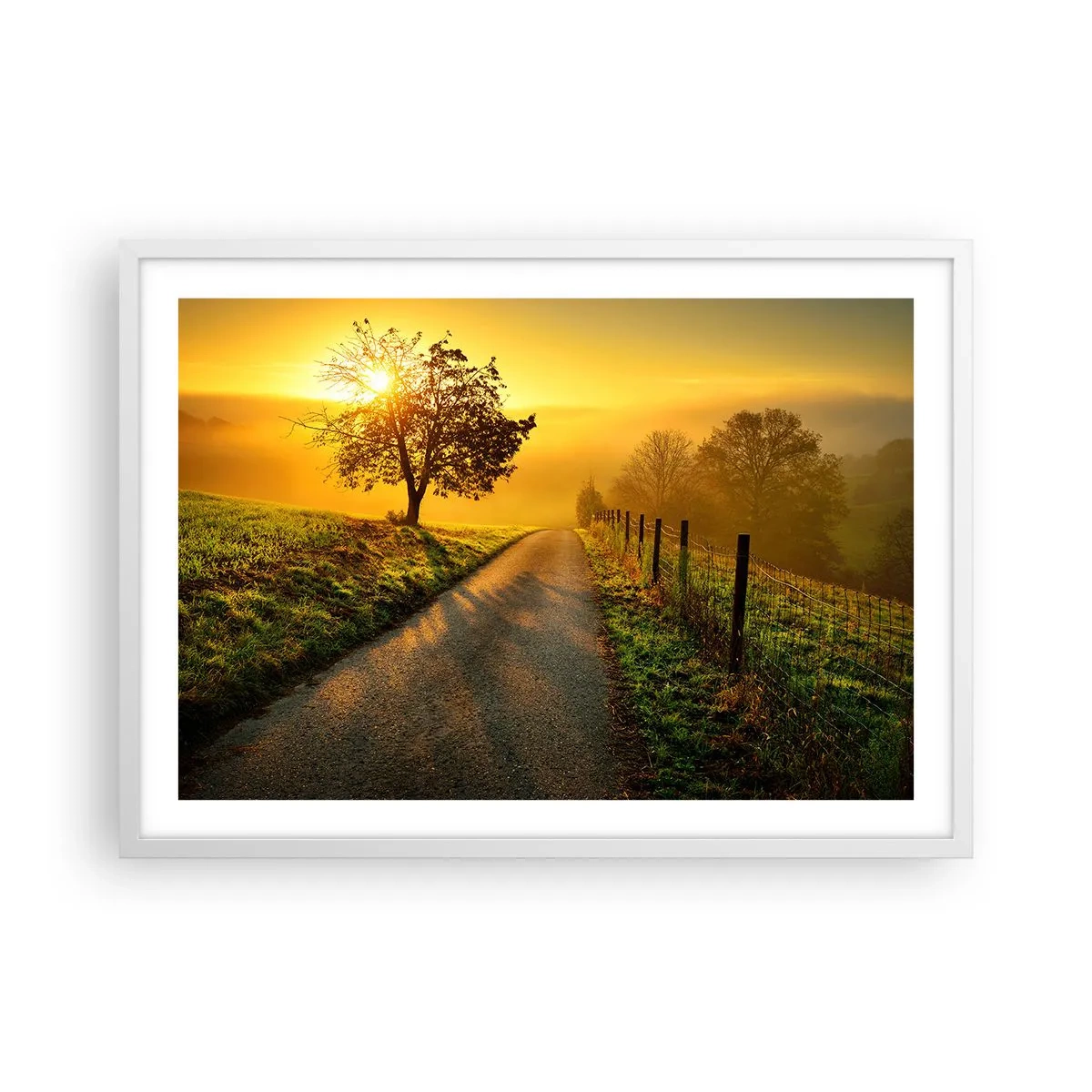 Plakat i hvid ramme - Kære eftermiddag - 70x50 cm