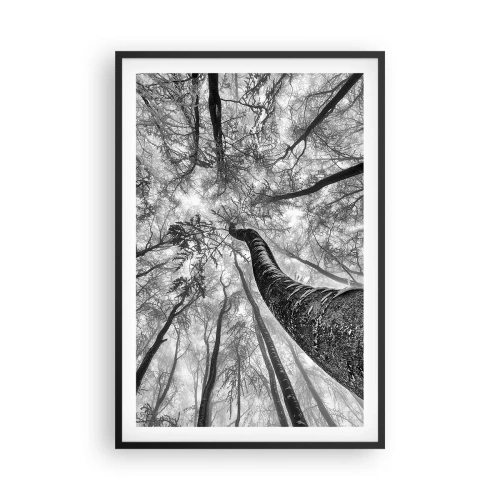Plakat i sort ramme - Kapløb mod lyset - 61x91 cm