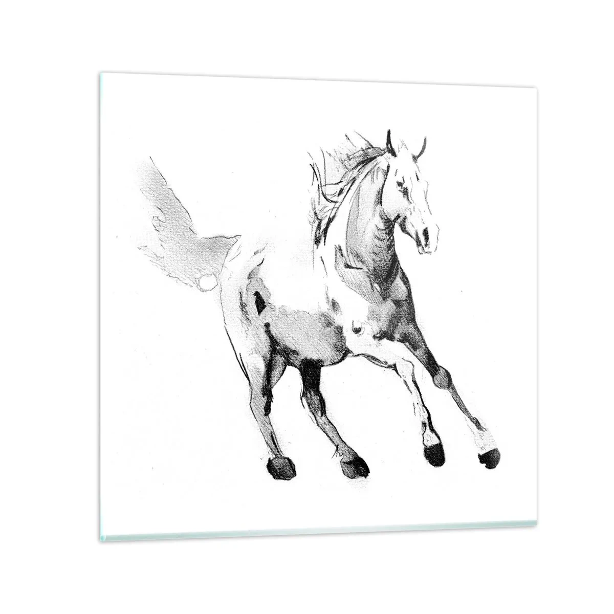 Billede på glas - Utæmmet sjæl - 50x50 cm