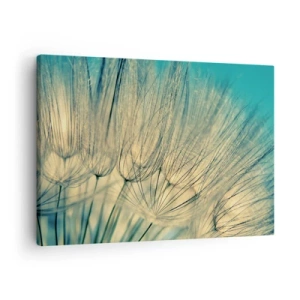 Lærredstryk - Billede på lærred - Makrofotografi af mælkebøtter i dagslys - 70x50cm - Venter på vinden - Moderne vægdekoration til stue og soveværelse ARTTOR