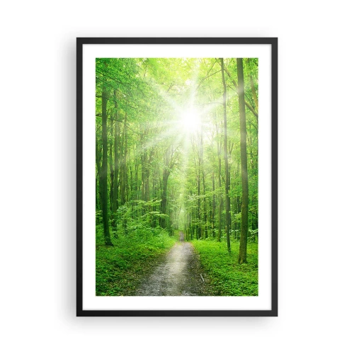Plakat i sort ramme - En skovsti oplyst af solens stråler - 50x70cm - Grøn katedral - Moderne vægdekoration til stue og soveværelse ARTTOR