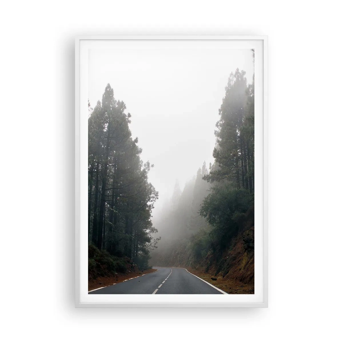 Plakat i hvid ramme - En fortælling om en magisk skov - 70x100 cm
