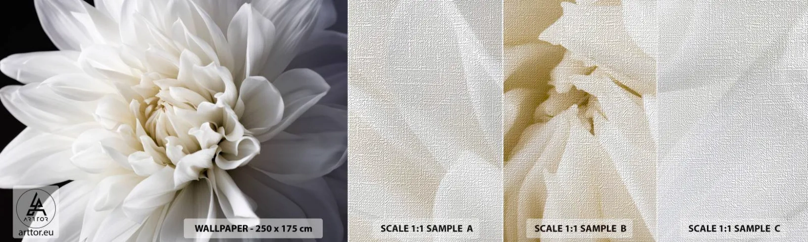 Prøve Fototapet Premium Canvas - Morgenbrud - Blomst, Dahlia, Natur - 100x30 cm