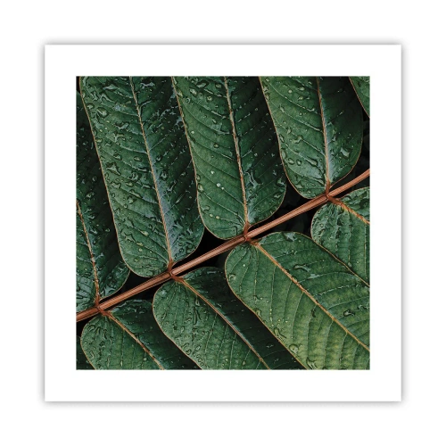 Plakat - I en grøn rytme - 40x40 cm