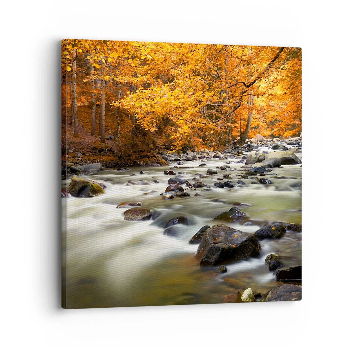Lærredstryk - Billede på lærred - Et vandløb i den gyldne skov - 30x30 cm