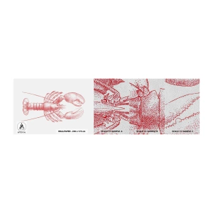 Prøve Fototapet Premium Sand - Hummer, der er Homer værdig - Hummer, Fisk og skaldyr, Skaldyr - 100x30 cm