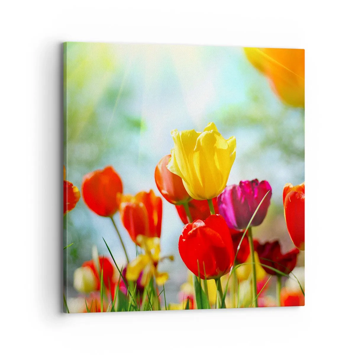 Lærredstryk - Billede på lærred - Alle solens farver - 70x70 cm