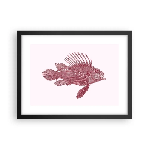 Plakat i sort ramme - En beboer i eksotiske farvande - 40x30 cm