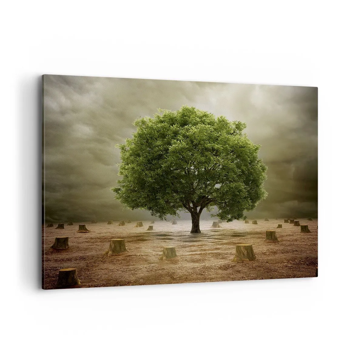 Lærredstryk - Billede på lærred - Alt håb - 100x70 cm