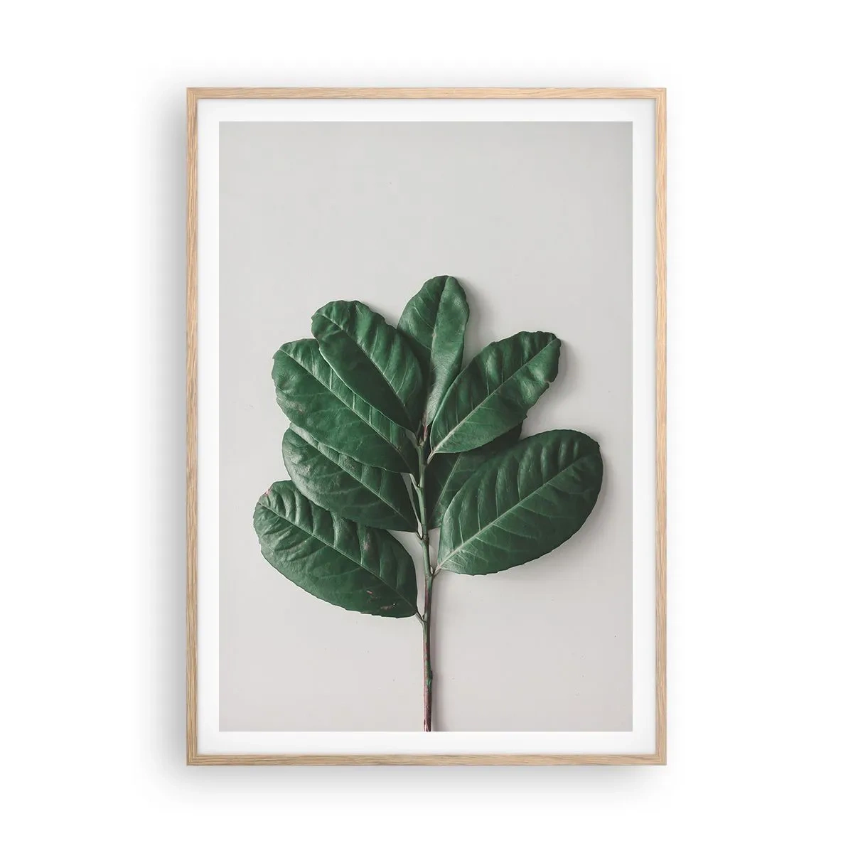 Plakat i ramme af lyst egetræ - Tegning af selve naturen - 70x100 cm