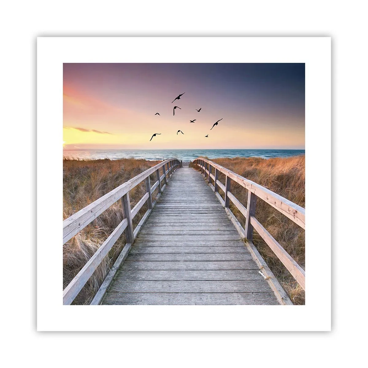 Plakat - Rummet med højder - 40x40 cm