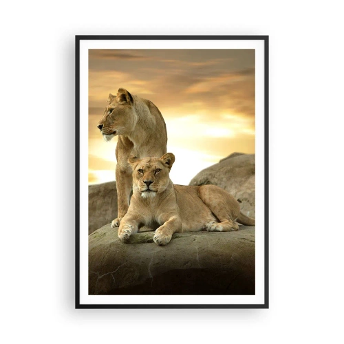 Plakat i sort ramme - Kongelig majestæt - 70x100 cm