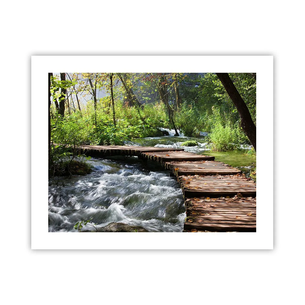 Plakat - Over en skummende kaskade - 50x40 cm